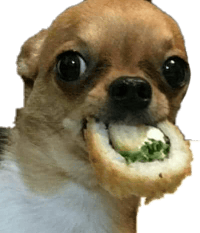 Press the ← and → keys to navigate the gallery, 'g' to view the gallery, . sushi dog meme food picsart funnypets funnymemes funn...