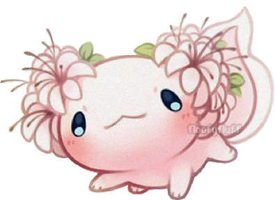 Buy cute axolotl on black background wallpaper by xooxoo. The Most Edited Axolotl Picsart