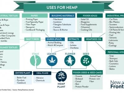 Some Remarkable Potential Markets For Hemp Benzinga