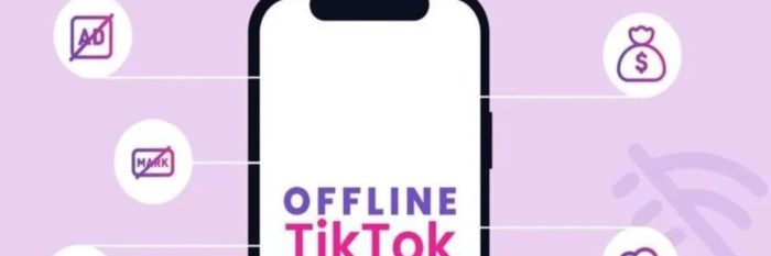 HowToAppearOfflineOnTikTok