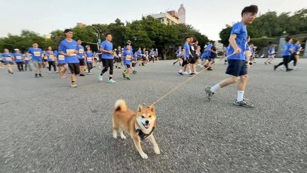 家長與孩童在台北總統府前熱力開跑,享受親子運動時光。
