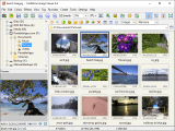 Faststone Image Viewer Software Union