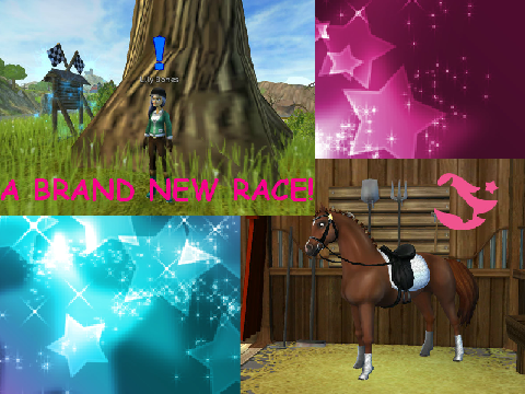Star Stable It created an online horse game Star Stable for girls and young women.