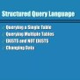 PPT - Structured Query Language PowerPoint Presentation, Free Download ...
