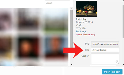 Need help with your website? How to Easily Add Title Attribute to Images in WordPress