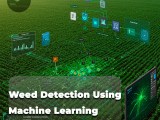 Weed Detection Using Machine Learning Sairone