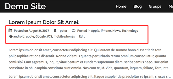 Kelly main published september 28, 2020 kelly is a former google tech entrepreneur and apple developer who has counseled businesses of all sizes and growth stages. How To Display Blog Post Meta Data In Your Wordpress Themes Tom Ji42 Com