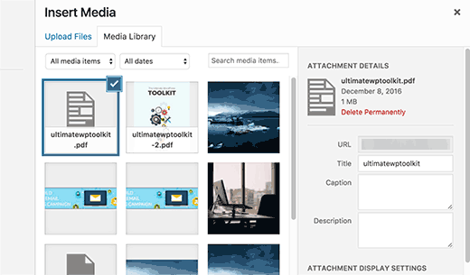 How To Disable PDF Thumbnail Previews In WordPress Site Processor