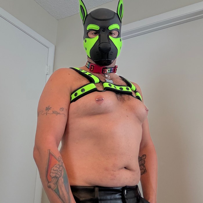 goodboipup