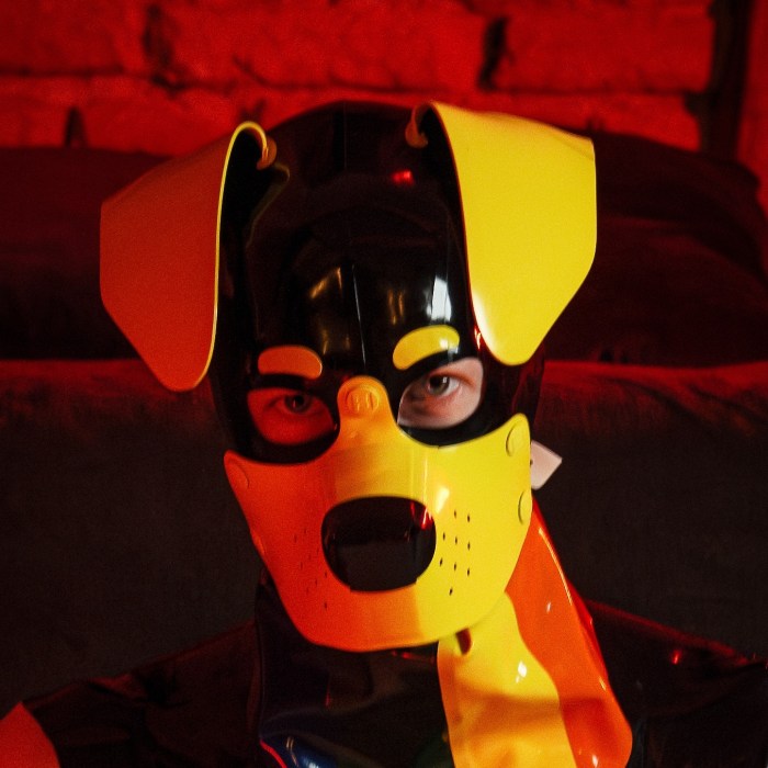 pup-aurora