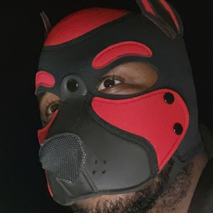 pup.ronin
