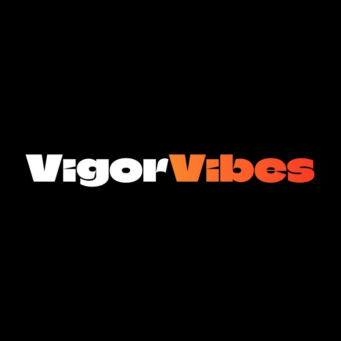 vigorvibesx