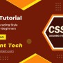 PPT - CSS Tutorial | Learn Cascading Style Sheets For Beginners ...