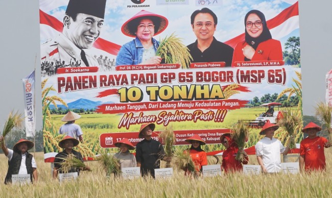 Ganjar Pranowo Panen 10 Ton Padi dari Lahan 1 Hektare di Jombang