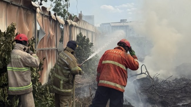 Sehari Dua Lahan Terbakar di Kota Malang, Area Terdampak Capai 3.300 Meter Persegi