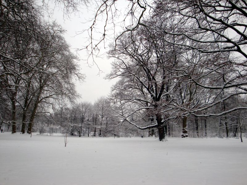 Park Eicherhof Auf Singlepilot Com - Modern Abstract Picture - Full HD