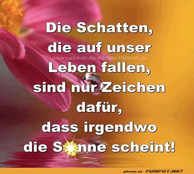 10 Schone Spruche Und Lebensweisheiten Aus