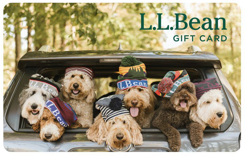 The Llbean Puppies Denim Dog Denim Dog Bed Lab Puppies 