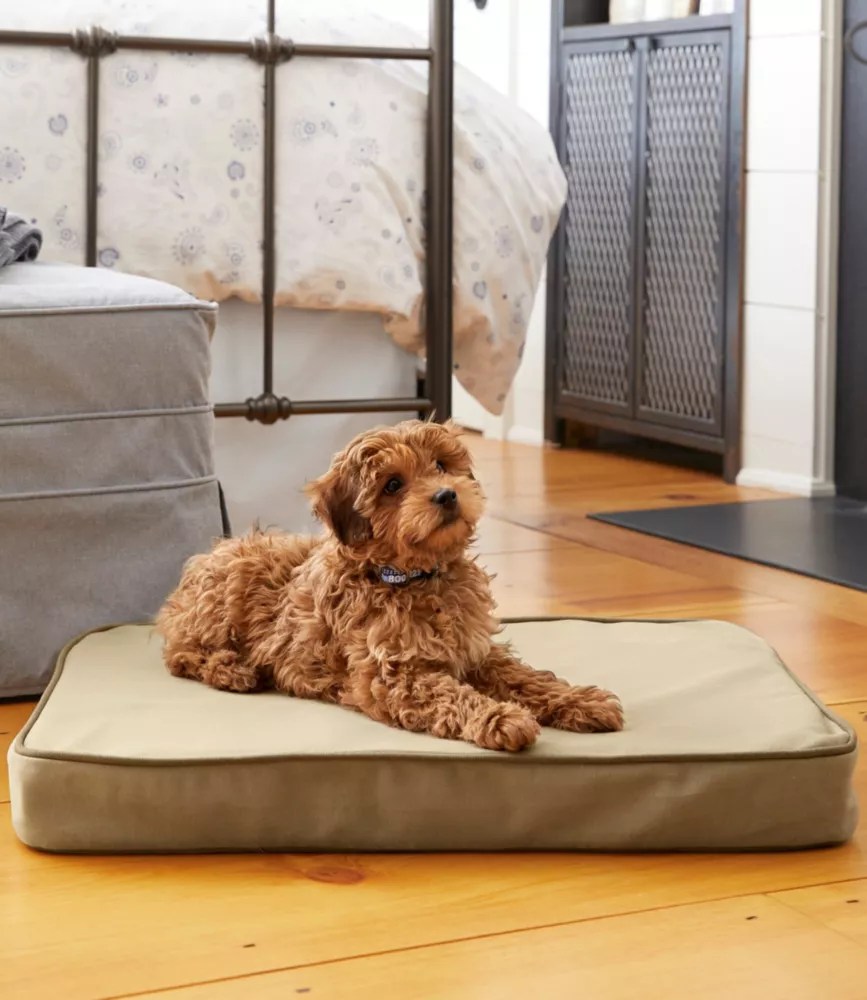 For a dog (without a dog): Therapeutic Dog Bed, Rectangular