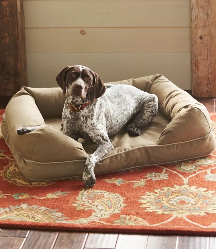 We may earn commission on some of the i. Therapeutic Dog Couch