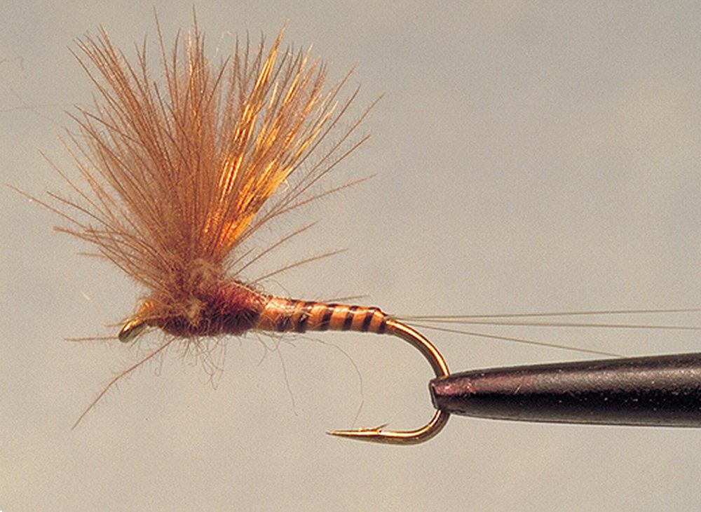 Sulfur Comparadun - Mountain Arts - Professional Mobile Collection