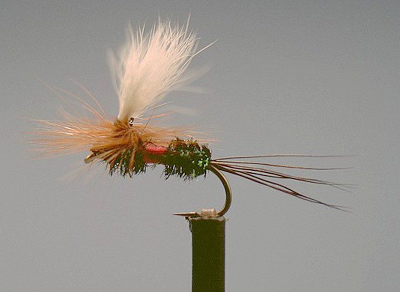 Parawulff Dennis 2 Pack