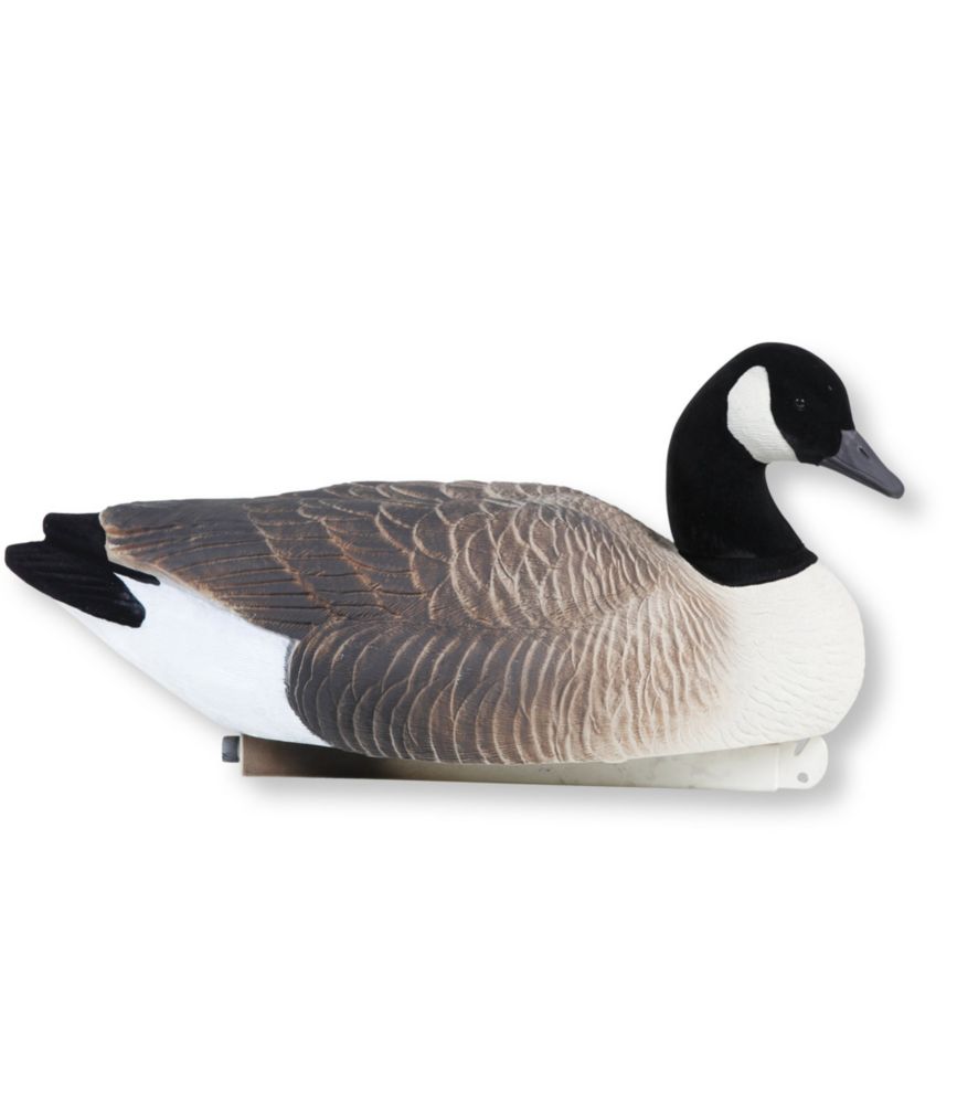 Tanglefree Pro Series Canada Geese Floating Decoys 4 Pack