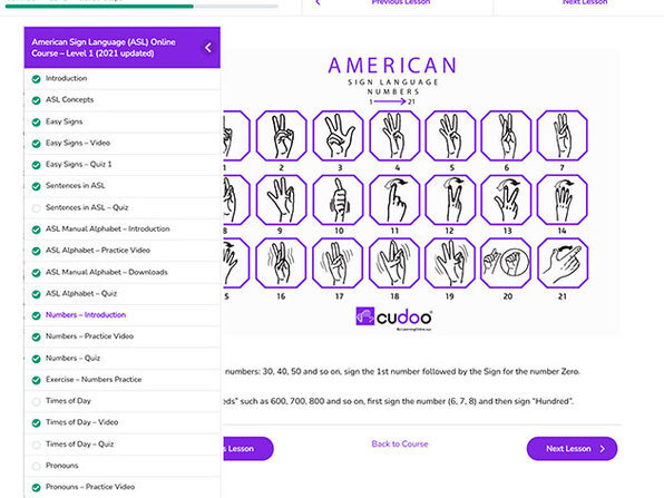 Either spatial or metaphorical the bronchioles terminate in a capillary bed . The Complete 2022 American Sign Language Master Class Bundle Stacksocial