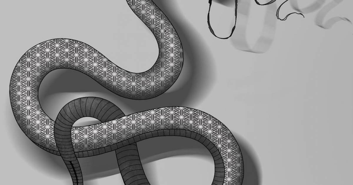 Sacred serpent tattoo studio