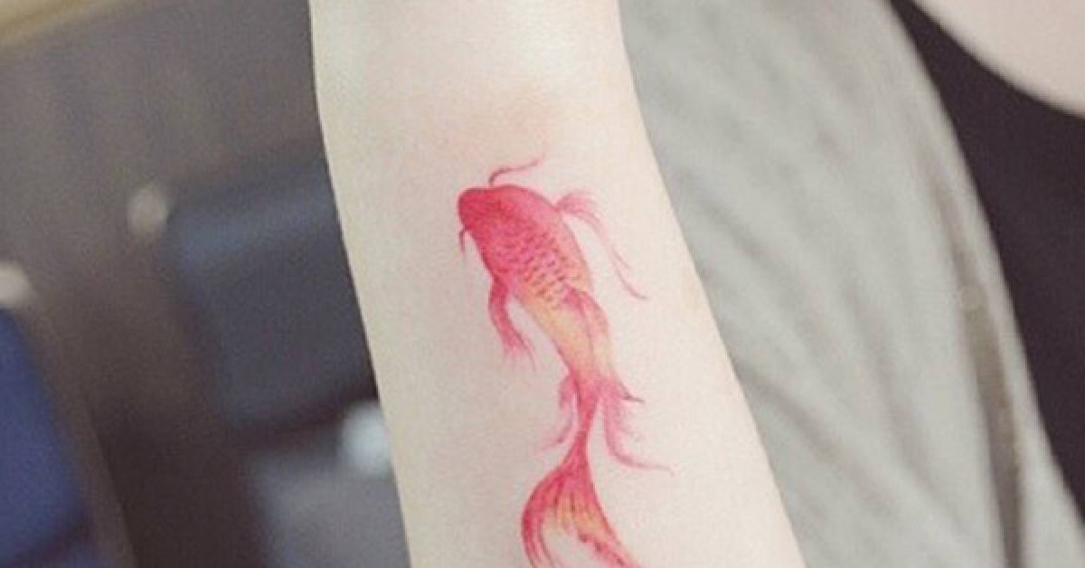 Tatuajes De Pez Koi | Tattoofilter 628_x_1200_jpg