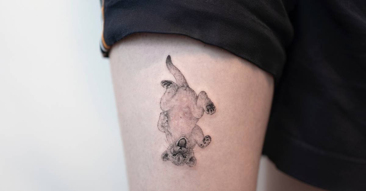 Tatuajes De Cachorros De Leon Tattoofilter