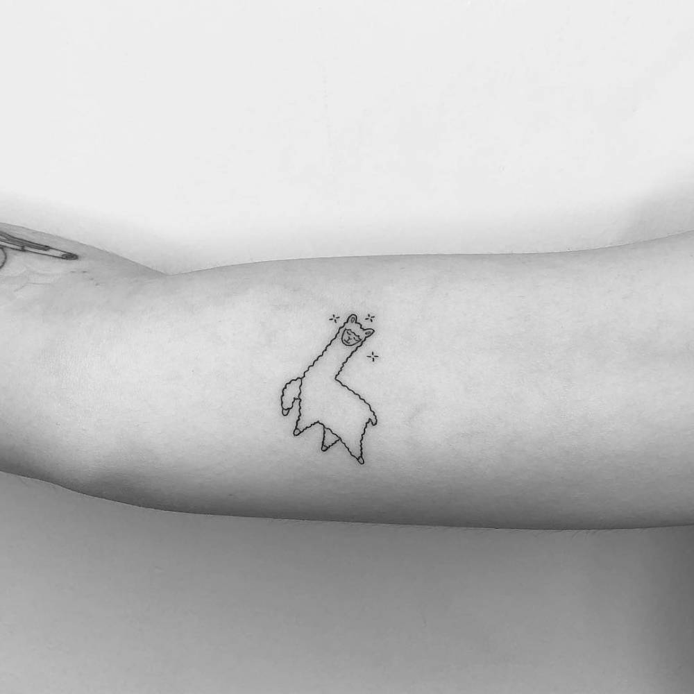 Dear Llama. 1000_x_1000_jpg