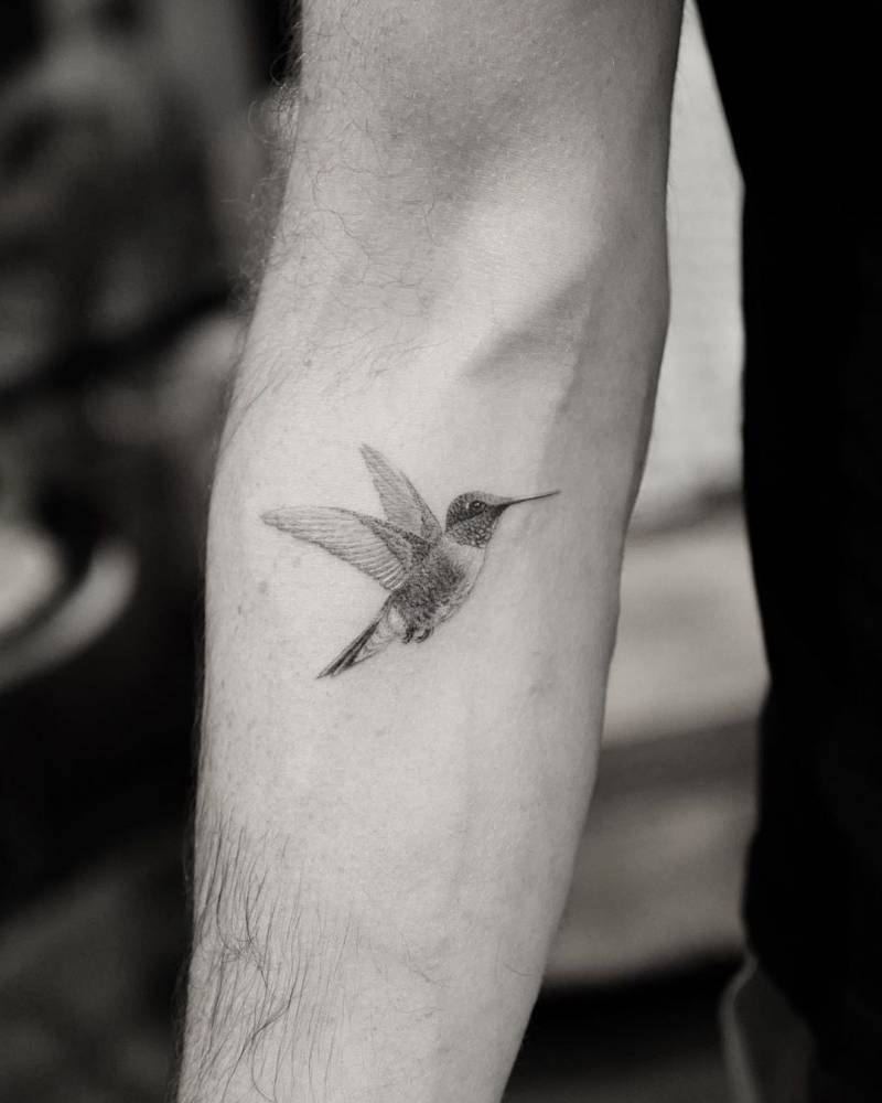 Single Needle Hummingbird Tattoo On Zach Braff