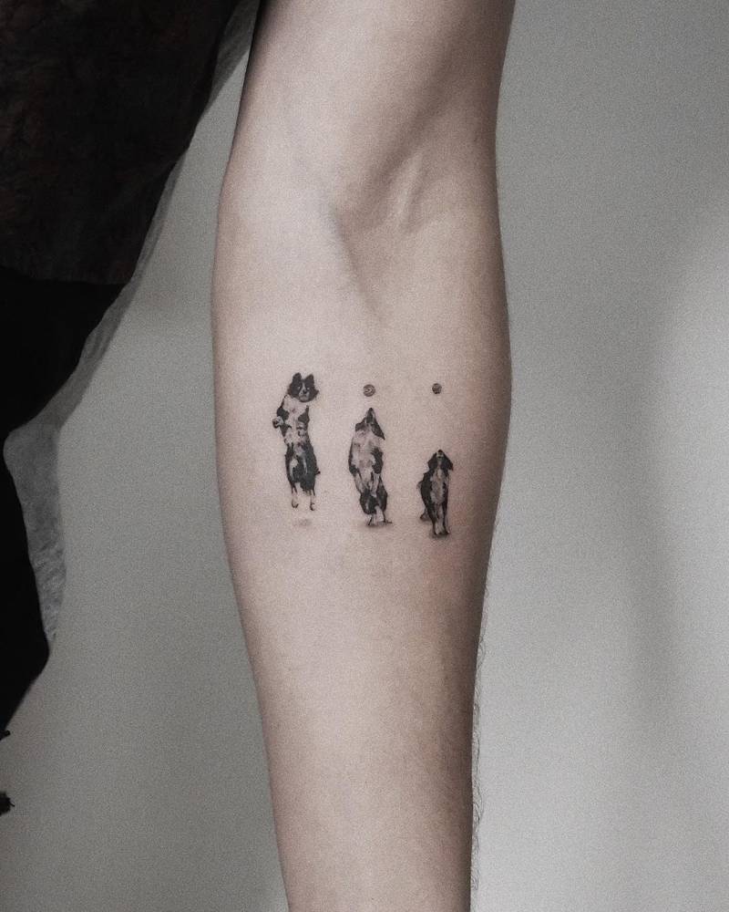 Micro-Realist Border Collie Tattoo 1000_x_800_jpg