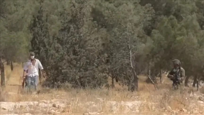 مستوطنون يهاجمون منازل فلسطينية شمالي الضفة 