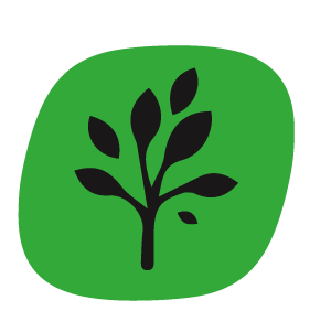 Rapidgrow Led Benzinga