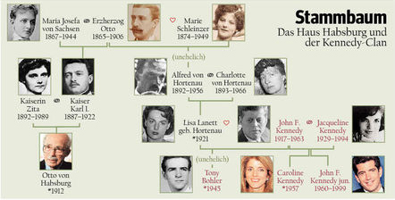 Kennedy Family Tree Pictures Free Reference Images Kennedy Family Kennedy Family Tree