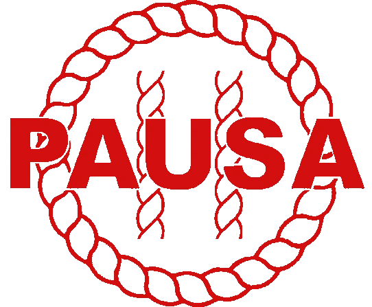 8 pausa nofondo