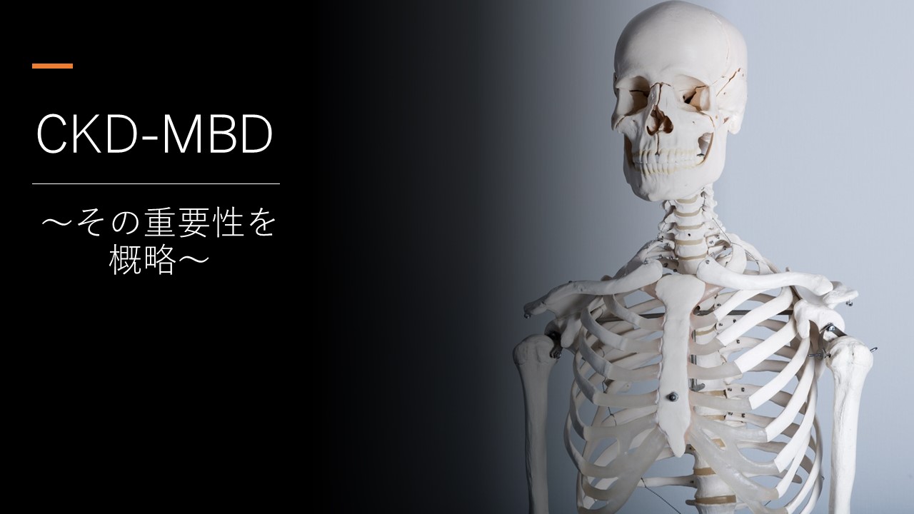 CKD-MBD~その重要性を概略する~ | 医療についての疑問を解説～広く浅く