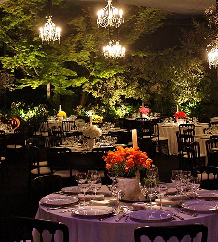 ambientación celebraciones cecilia edwards