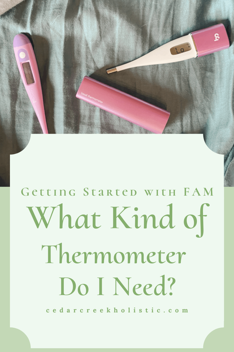 The Best Basal Body Thermometers Cedar Creek Holistic Services