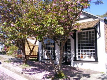 23+ Best Lake Lyell Cabins : Lake Lyell - Lake Wallace | Lithgow Tourism Information - All cabins overlook the majestic views of lake lyell or the cox's river .