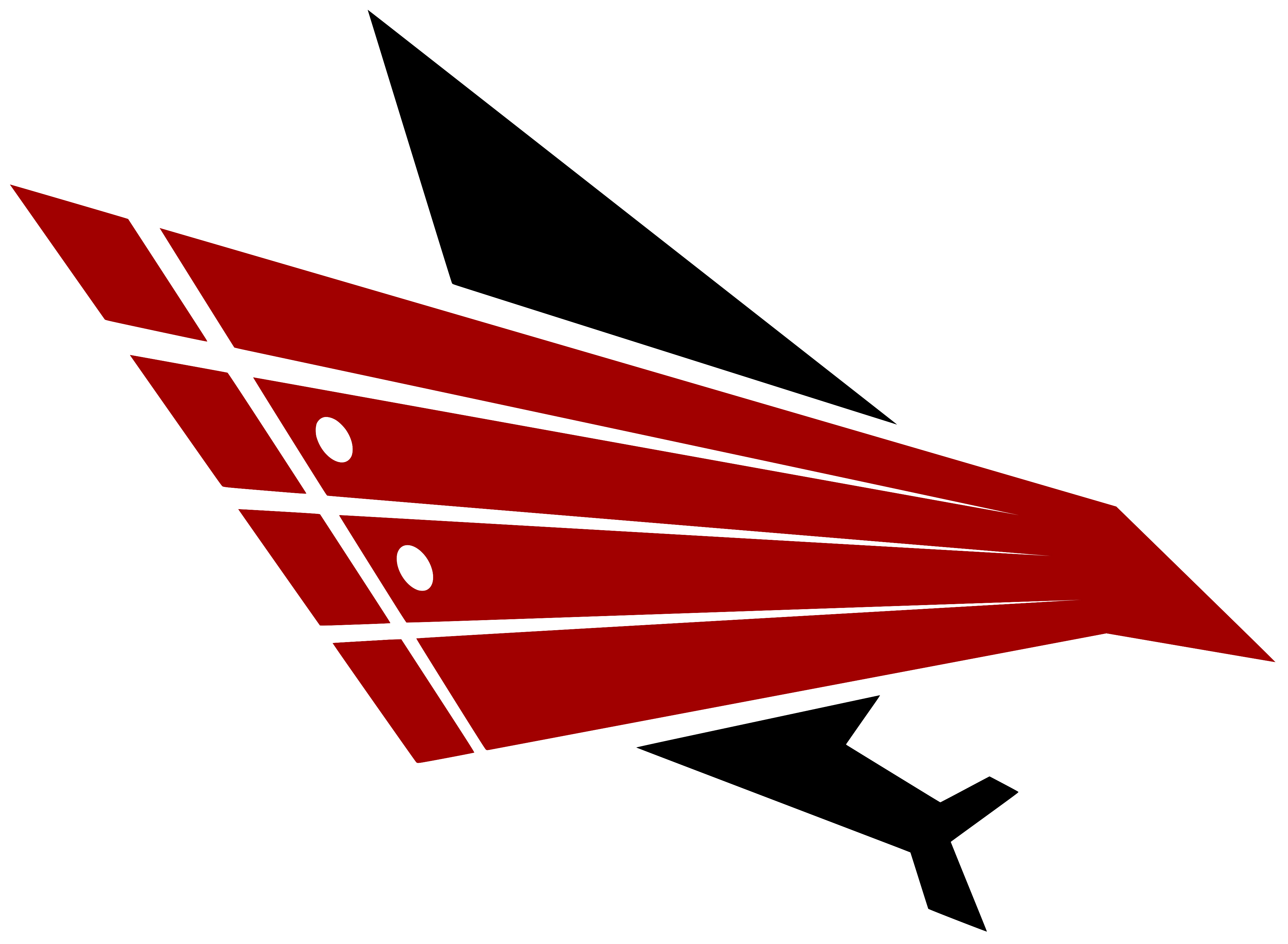 Cedar Springs Bands