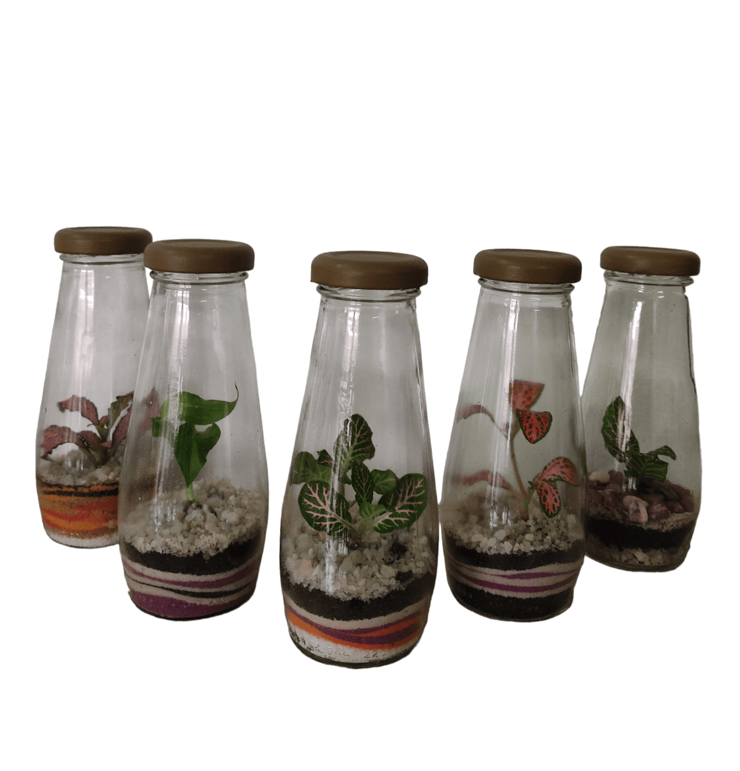terrario upcycling mini