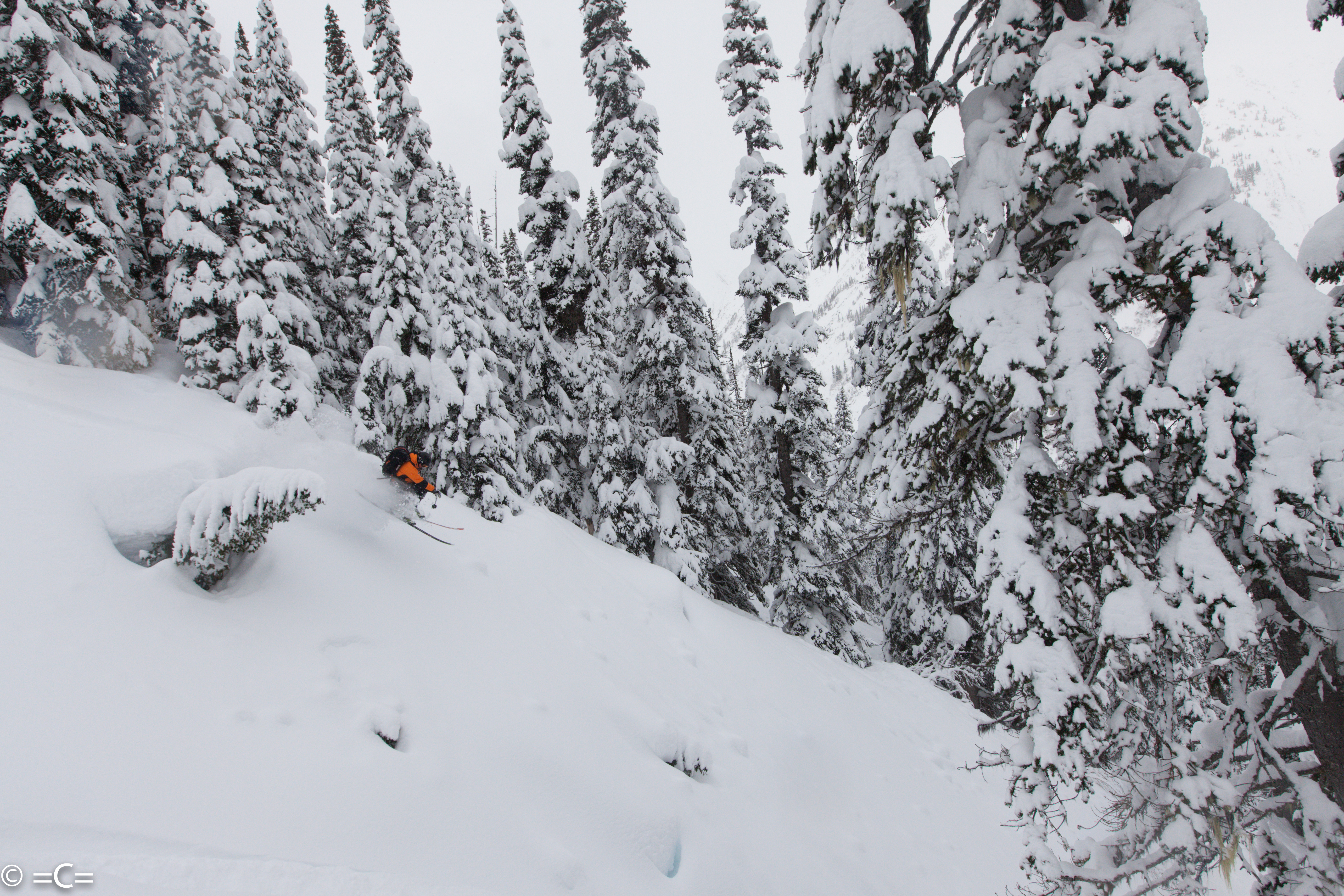 Michael Brackenhofer