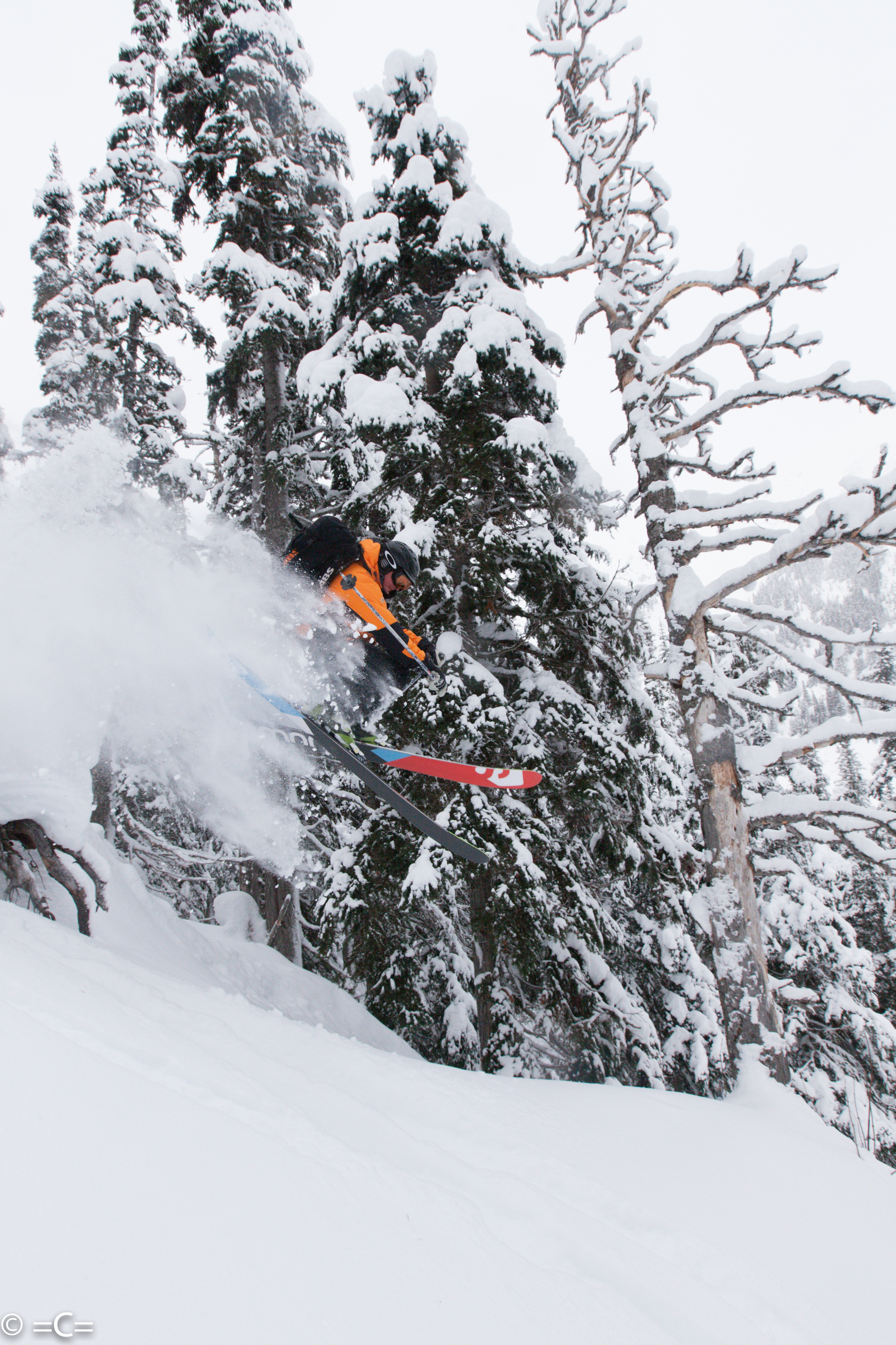 Michael Brackenhofer