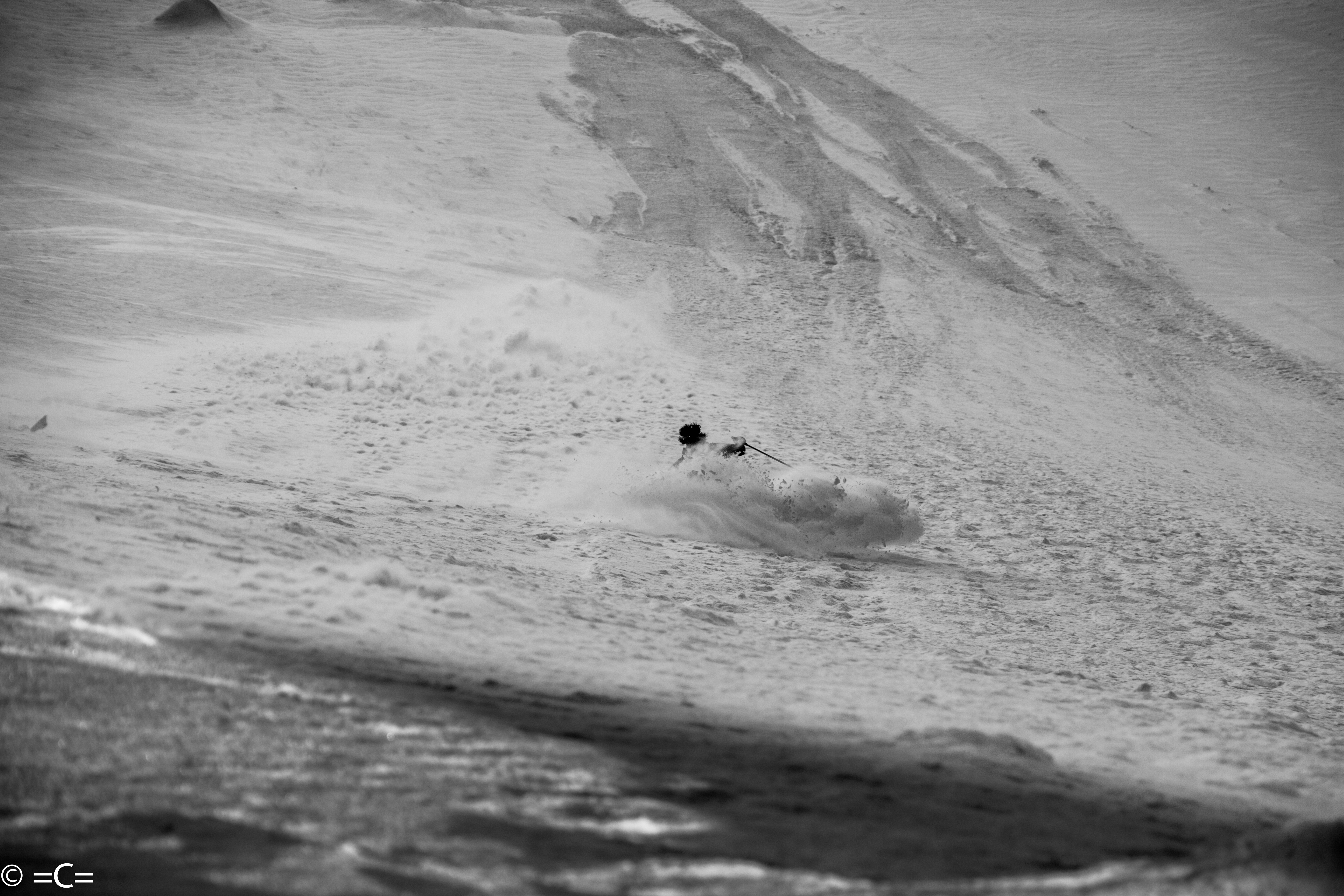 michael bird shaffer