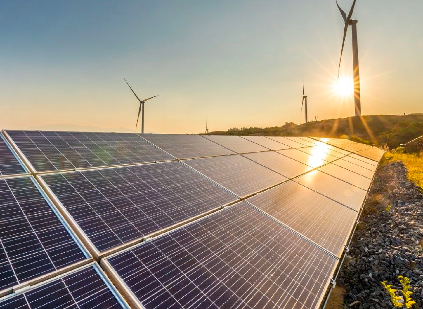 Publications Cedro - Landscape Arts - Gorgeous Desktop Collection