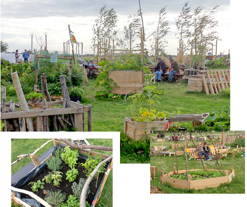 Urbane Waldgarten Eine Grune Alternative Fur Die Stadt