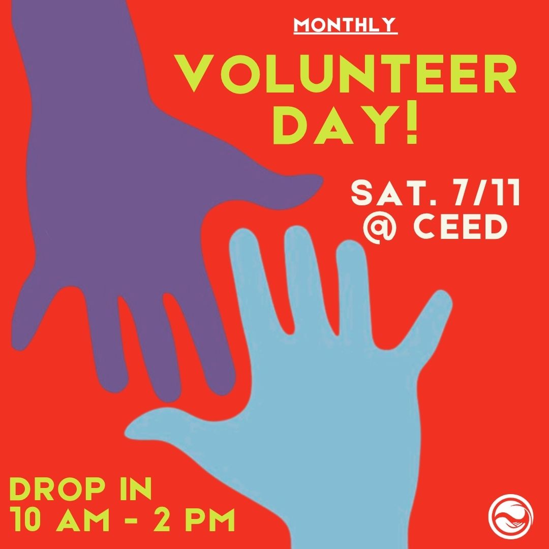 Volunteer Day! Something for Everyone to do!